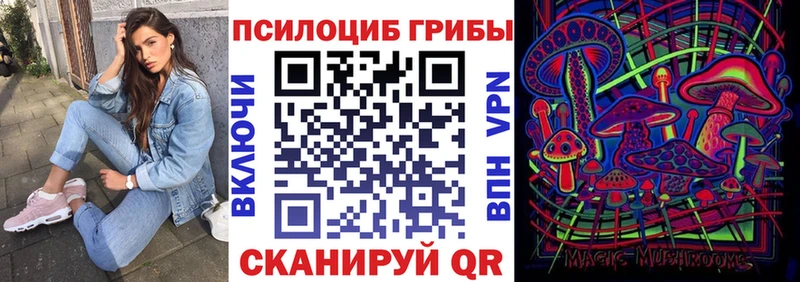 OMG рабочий сайт  Мамоново  Псилоцибиновые грибы GOLDEN TEACHER  закладка 
